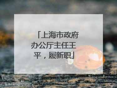 上海市政府办公厅主任王平，履新职