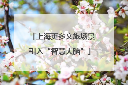 上海更多文旅场景引入“智慧大脑”