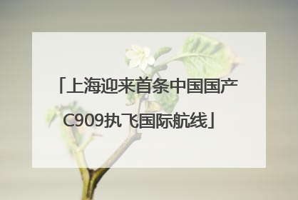 上海迎来首条中国国产C909执飞国际航线
