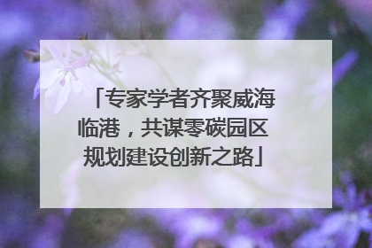 专家学者齐聚威海临港，共谋零碳园区规划建设创新之路