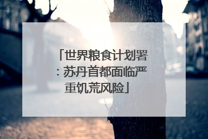 世界粮食计划署：苏丹首都面临严重饥荒风险