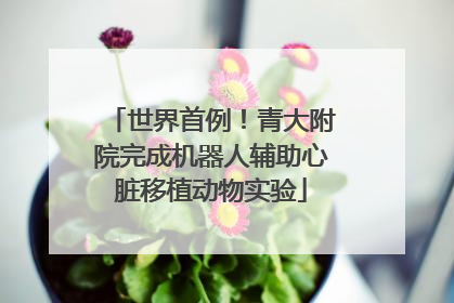 世界首例！青大附院完成机器人辅助心脏移植动物实验