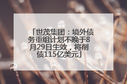 世茂集团：境外债务重组计划不晚于8月29日生效，将削债115亿美元