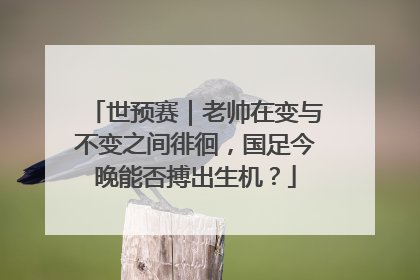 世预赛｜老帅在变与不变之间徘徊，国足今晚能否搏出生机？