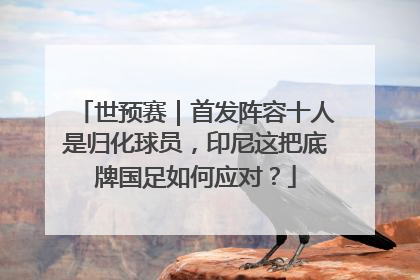 世预赛｜首发阵容十人是归化球员，印尼这把底牌国足如何应对？