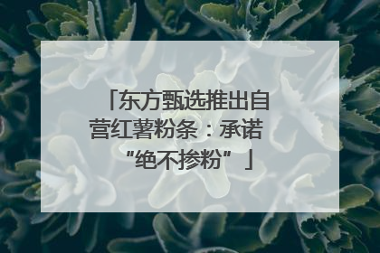 东方甄选推出自营红薯粉条：承诺“绝不掺粉”