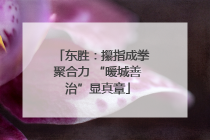 东胜：攥指成拳聚合力 “暖城善治”显真章