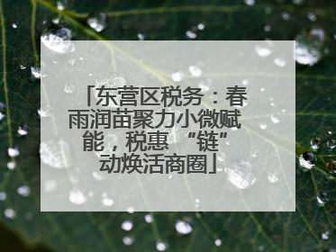 东营区税务：春雨润苗聚力小微赋能，税惠 “链” 动焕活商圈