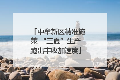 中牟新区精准施策 “三夏”生产跑出丰收加速度