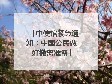 中使馆紧急通知：中国公民做好撤离准备