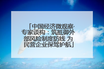 中国经济微观察·专家谈构：筑抵御外部风险制度防线 为民营企业保驾护航