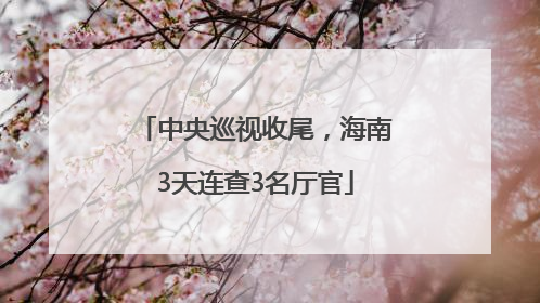 中央巡视收尾，海南3天连查3名厅官