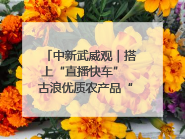 中新武威观｜搭上“直播快车” 古浪优质农产品“云端”走俏
