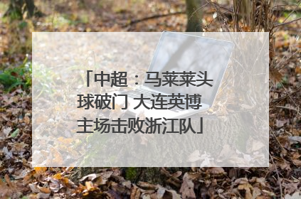 中超：马莱莱头球破门 大连英博主场击败浙江队