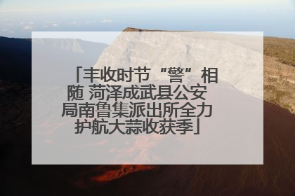 丰收时节“警”相随 菏泽成武县公安局南鲁集派出所全力护航大蒜收获季
