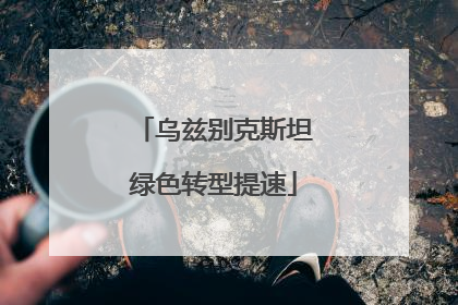乌兹别克斯坦绿色转型提速