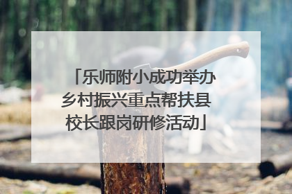 乐师附小成功举办乡村振兴重点帮扶县校长跟岗研修活动