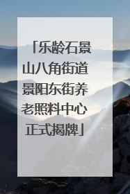 乐龄石景山八角街道景阳东街养老照料中心正式揭牌