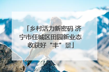 乡村活力新密码 济宁市任城区田园新业态收获好“丰”景