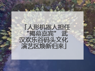 人形机器人担任“揭幕嘉宾” 武汉欢乐谷码头文化演艺区焕新归来