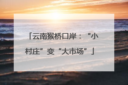 云南猴桥口岸：“小村庄”变“大市场”