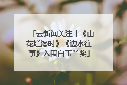 云新闻关注丨《山花烂漫时》《边水往事》入围白玉兰奖