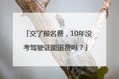 交了报名费，10年没考驾驶证能退费吗？