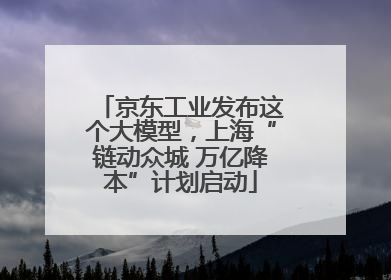 京东工业发布这个大模型，上海“链动众城 万亿降本”计划启动