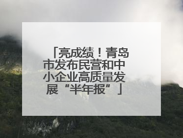 亮成绩！青岛市发布民营和中小企业高质量发展“半年报”