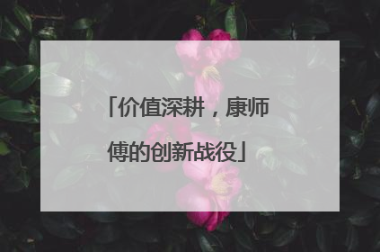 价值深耕，康师傅的创新战役