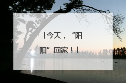 今天，“阳阳”回家！