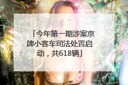 今年第一期涉案京牌小客车司法处置启动，共618辆