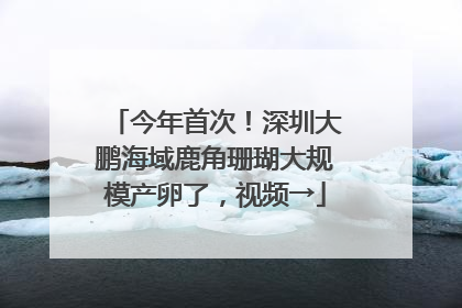 今年首次！深圳大鹏海域鹿角珊瑚大规模产卵了，视频→