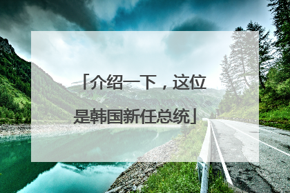 介绍一下，这位是韩国新任总统