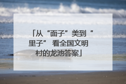 从“面子”美到“里子” 看全国文明村的龙池答案