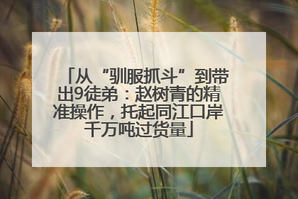 从“驯服抓斗”到带出9徒弟：赵树青的精准操作，托起同江口岸千万吨过货量