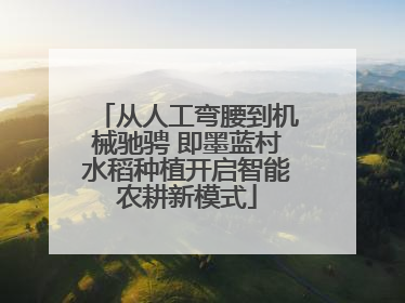 从人工弯腰到机械驰骋 即墨蓝村水稻种植开启智能农耕新模式