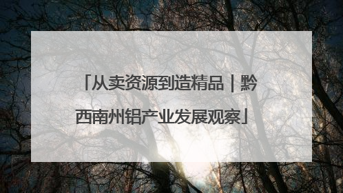 从卖资源到造精品｜黔西南州铝产业发展观察