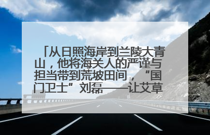 从日照海岸到兰陵大青山，他将海关人的严谨与担当带到荒坡田间，“国门卫士”刘磊——让艾草长成“生钱草”