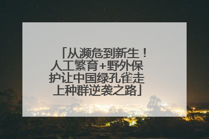 从濒危到新生！人工繁育+野外保护让中国绿孔雀走上种群逆袭之路