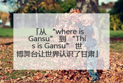 从 “where is Gansu” 到 “This is Gansu” 世博舞台让世界认识了甘肃
