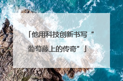 他用科技创新书写“葡萄藤上的传奇”
