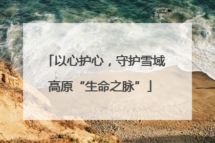 以心护心，守护雪域高原“生命之脉”