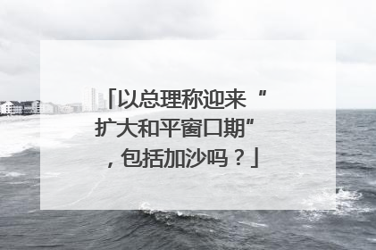 以总理称迎来“扩大和平窗口期”，包括加沙吗？