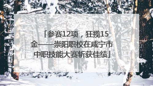 参赛12项，狂揽15金——崇阳职校在咸宁市中职技能大赛斩获佳绩