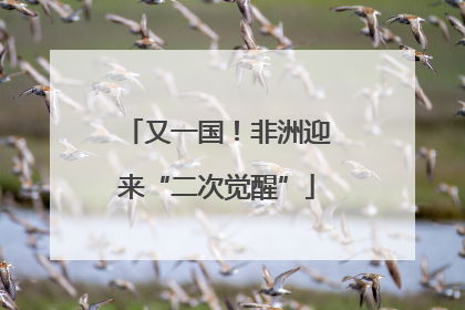 又一国！非洲迎来“二次觉醒”