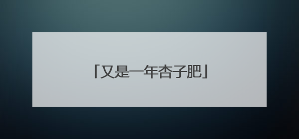 又是一年杏子肥