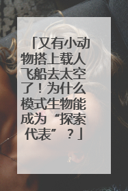 又有小动物搭上载人飞船去太空了！为什么模式生物能成为“探索代表”？
