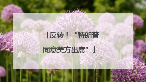 反转！“特朗普同意美方出席”