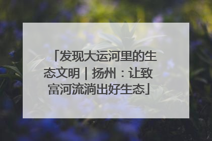 发现大运河里的生态文明｜扬州：让致富河流淌出好生态
